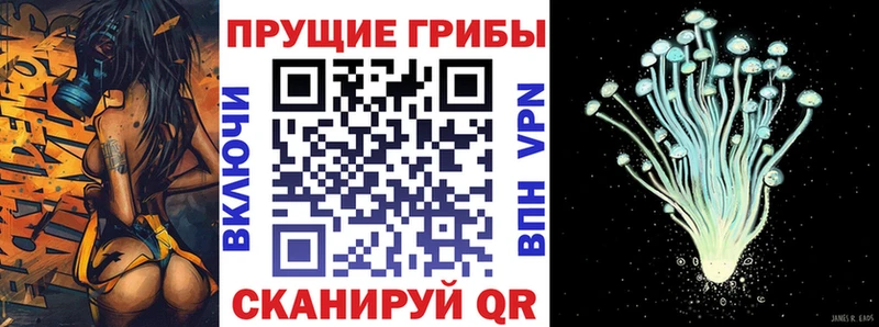 Псилоцибиновые грибы ЛСД Сибай