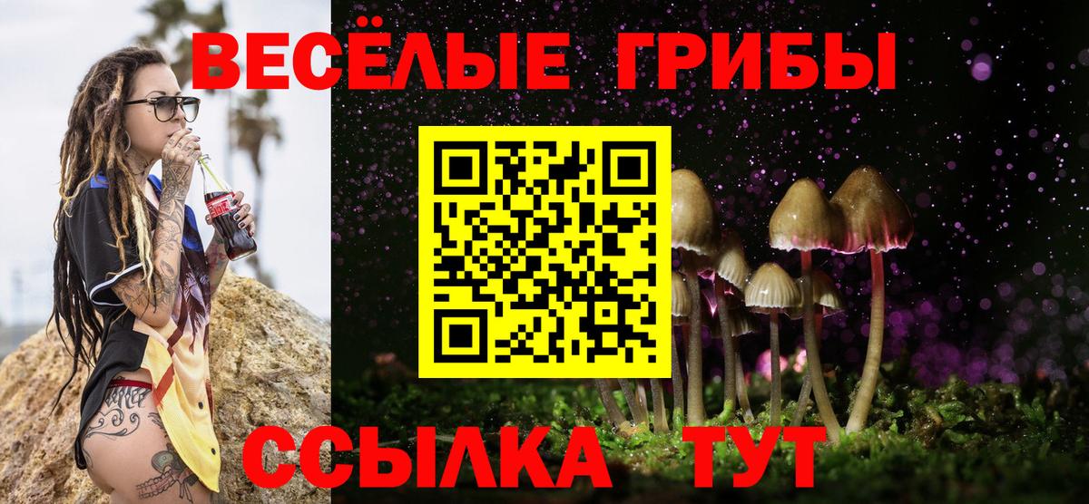 Сибай  Галлюциногенные грибы мицелий  Вход с VPN 