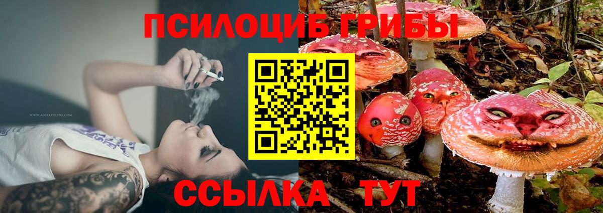 Псилоцибиновые грибы GOLDEN TEACHER Сибай